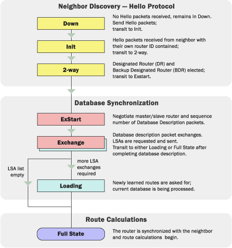 ospf_states.gif ospf_states.gif