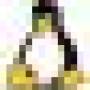 linux_logo_16px.jpg